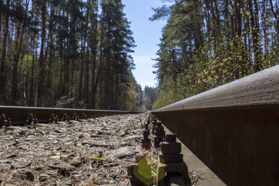 Trilhos dormentes estrada de ferro floresta