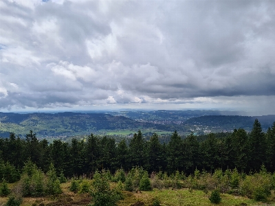 Foto Alami awan tanaman langit