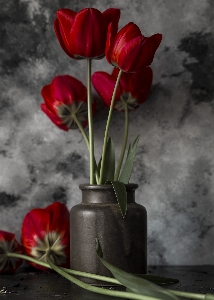 Flower plant window vase Photo