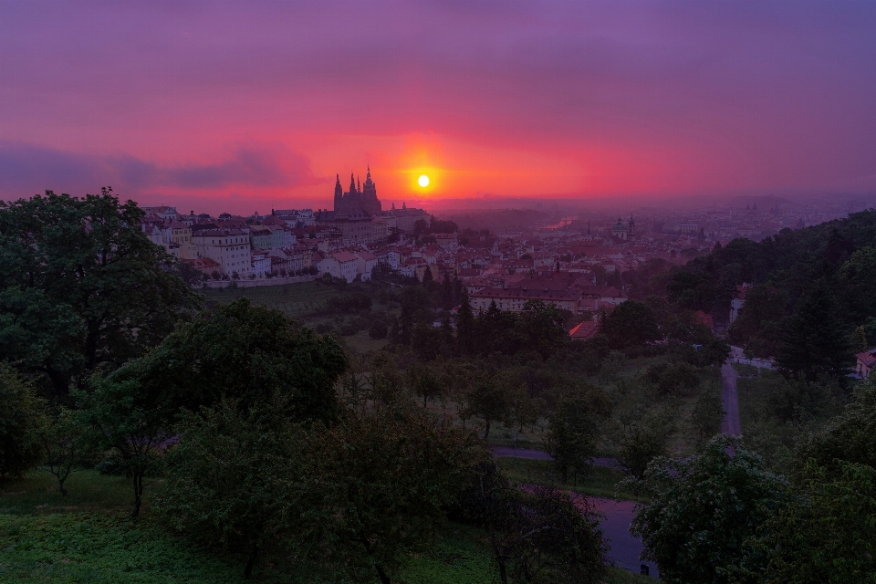 Praga cielo pianta atmosfera