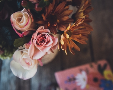 Flower plant petal window Photo