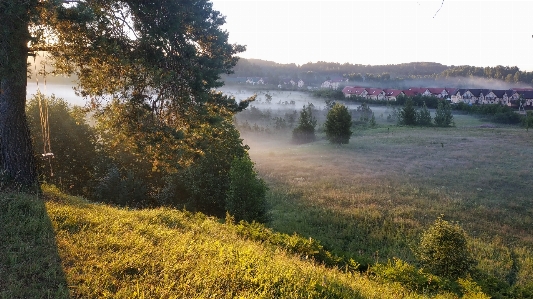 Natural plant sky landscape Photo