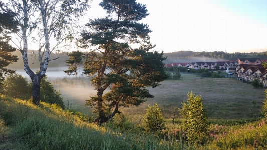 Natural plant sky landscape Photo