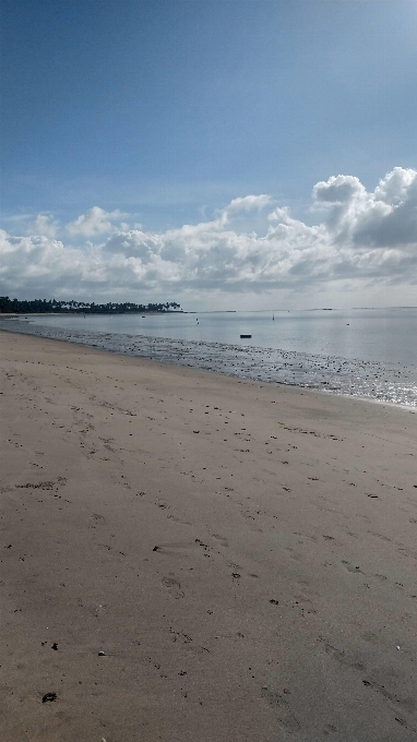 ビーチ 海 土地 クラウド