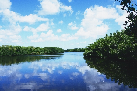 Florida charlotte harbor preserve mangroves clouds Photo