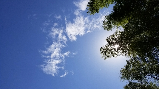 Sun sky white clouds cloud Photo