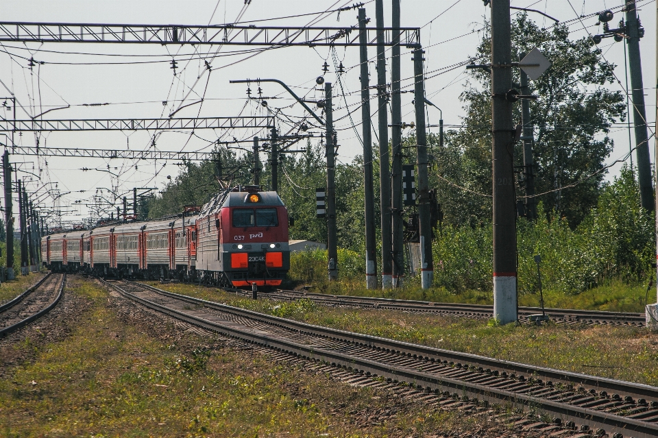 Images train sky plant