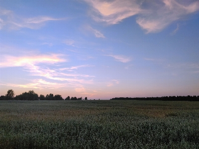 Landscape cloud sky plant Photo