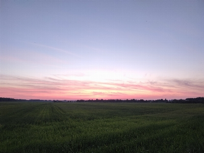 Sunset field cloud sky Photo