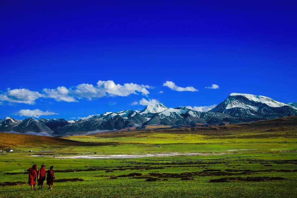 Keşiş tibet dağ karlı dağ
