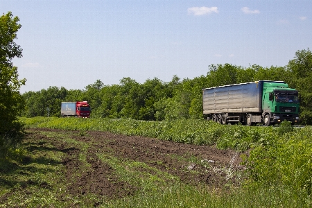 Tractors truckers track plant Photo