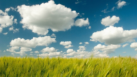 Foto Cedo nuvem céu plantar