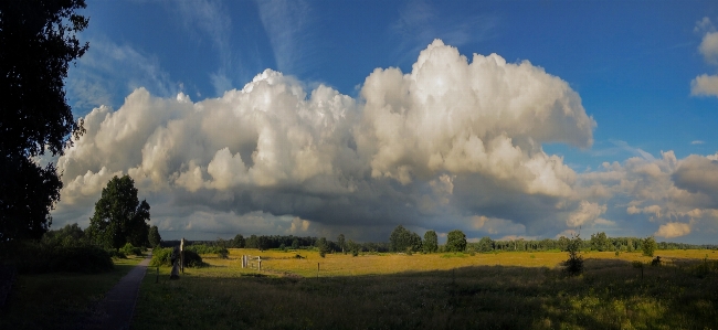 Sunset horizon clouds dark Photo