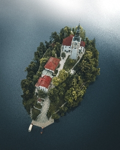 水 建物 植物 世界 写真