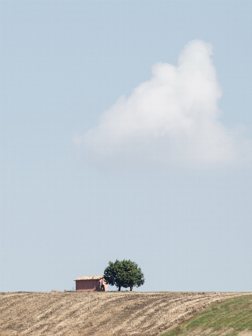 Cloud sky ecoregion plant