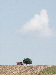 Cloud sky ecoregion plant Photo