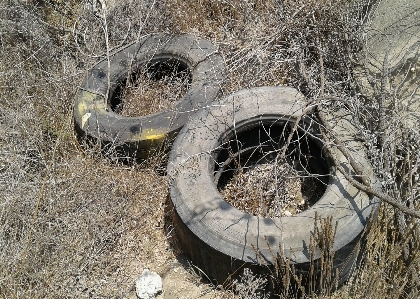 Wheels tires black branches Photo