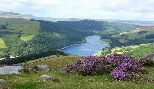 Waater heather sky cloud Photo