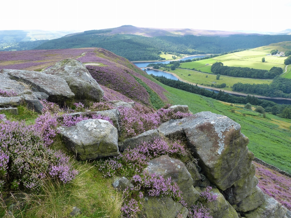 Rocks hills heather sky