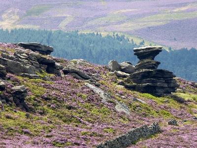 Foto Rock formação montanha comunidade vegetal
