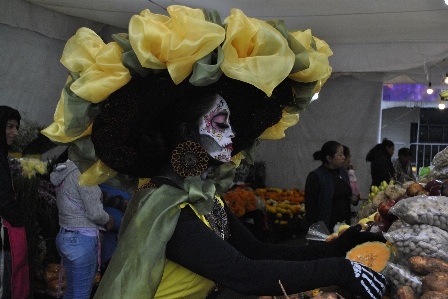 Foto México tradições
 novembro catrina
