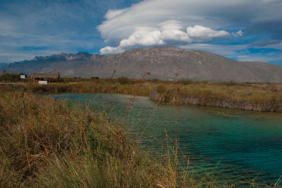 Quattrocinegas
 coahuila
 messico immagine blu
