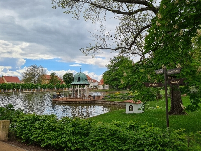 Natural water plant cloud Photo