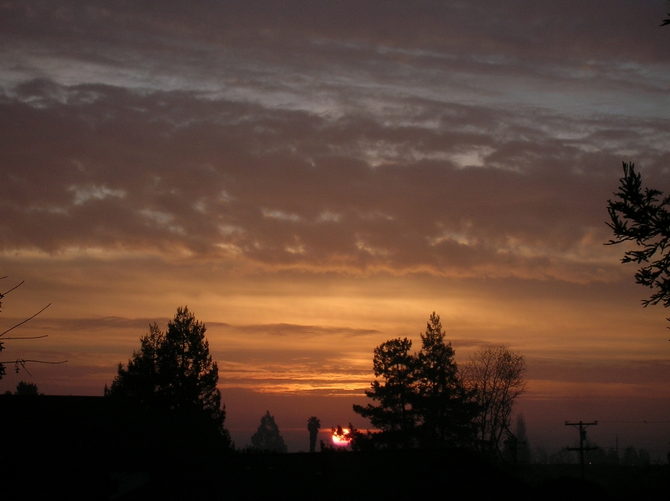 Sunset suburban cloud sky