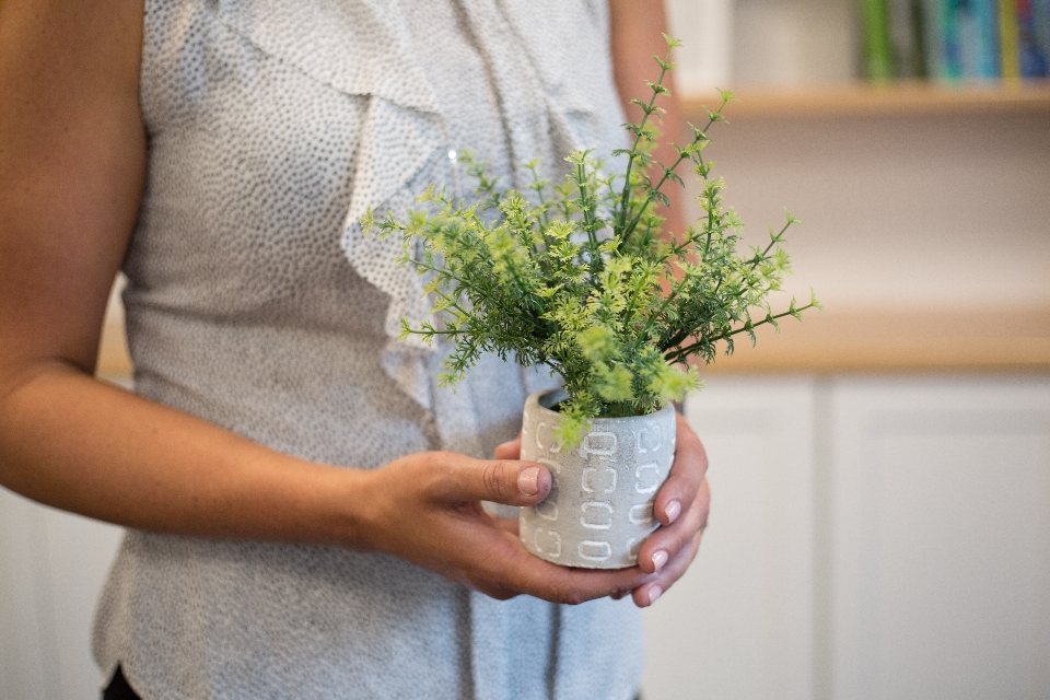 Pianta vaso di fiori pantaloncini manica