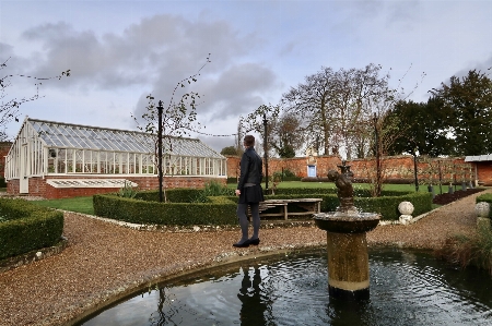 Park water plant cloud Photo