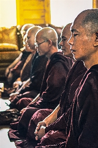 Sangha monk theravada buddhism meditation Photo