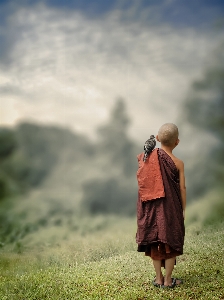 Samanera novice monk bird Photo