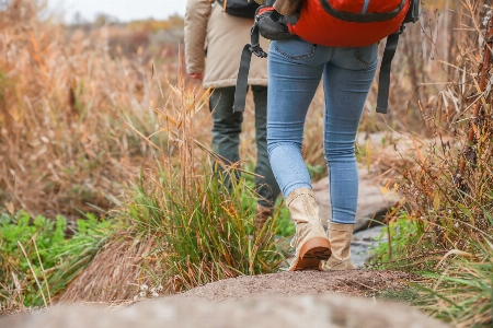 Shoe plant vertebrate people in nature Photo