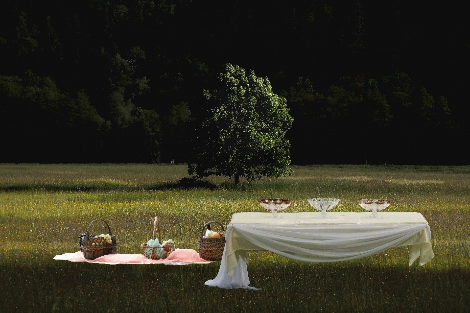 Picknick grün natur außen