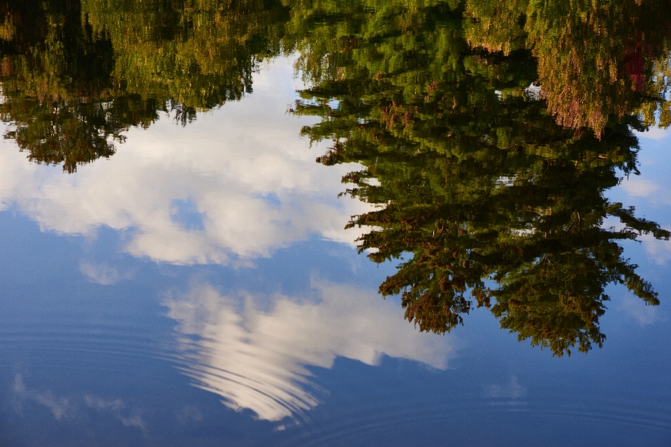 Water cloud resources sky