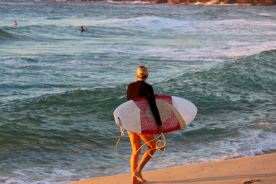 Water surfboard surfing beach