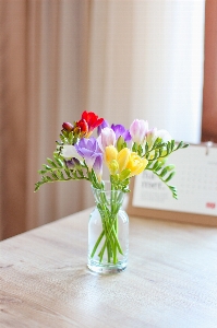 Natural flower plant vase Photo