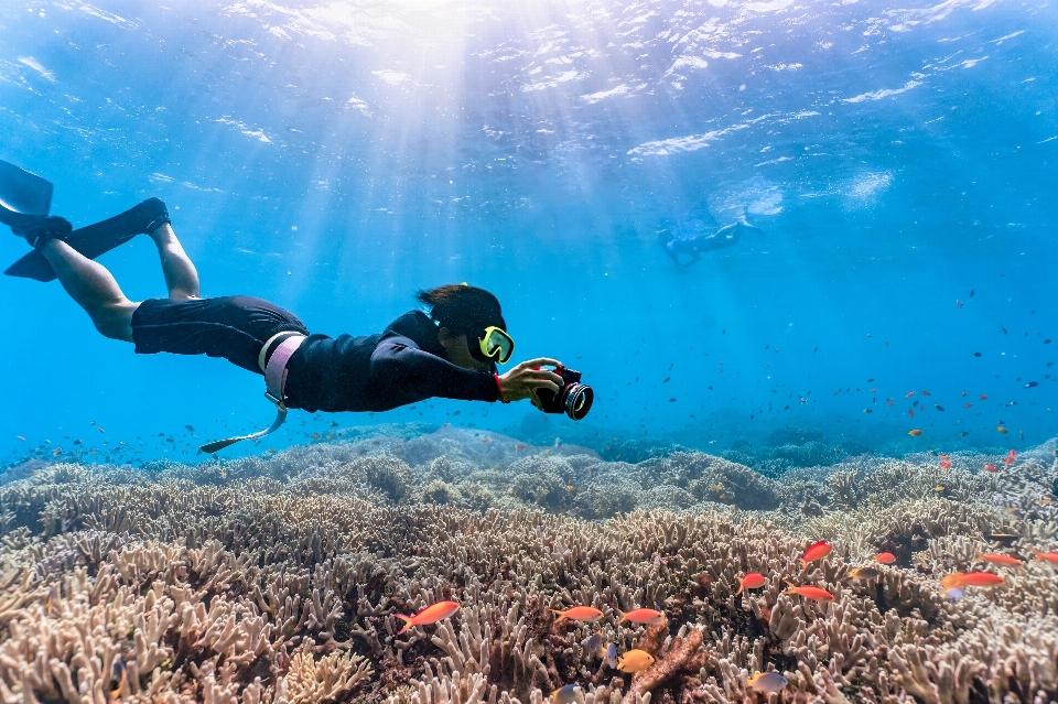 Mar água mergulho subaquático
 embaixo da agua