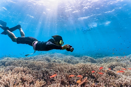 Sea water underwater diving Photo