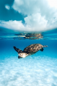 Natural cloud water sky Photo