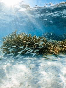 Natural water resources cloud Photo