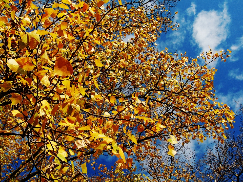 Immagini cielo nube persone in natura
