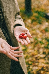 Woman hand dress plant Photo