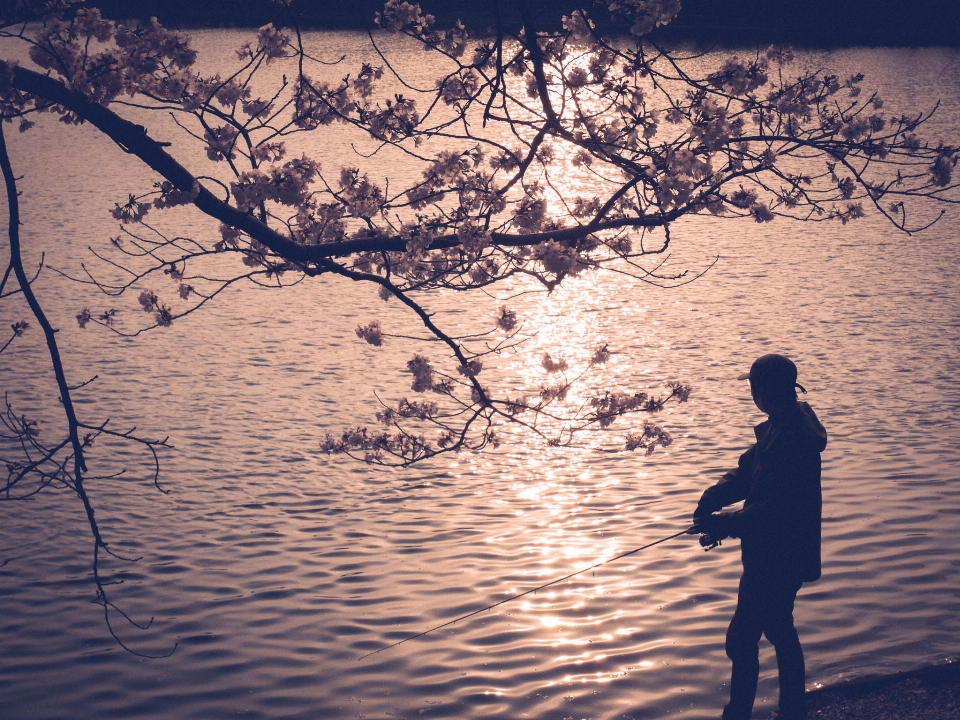 自然 水 自然の中の人々
 植物