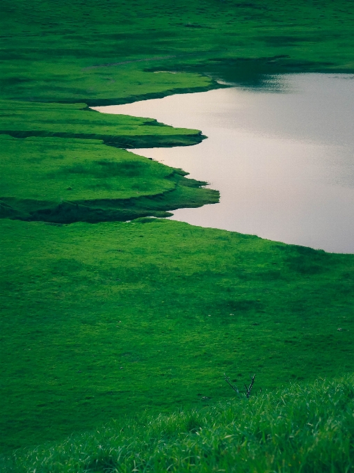 Naturel eau ressources en eau
 vert