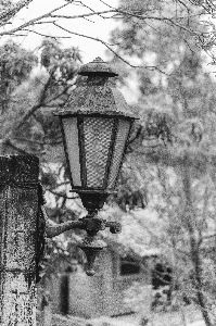 Photo Naturel lampe noir et blanc
 éclairage public
