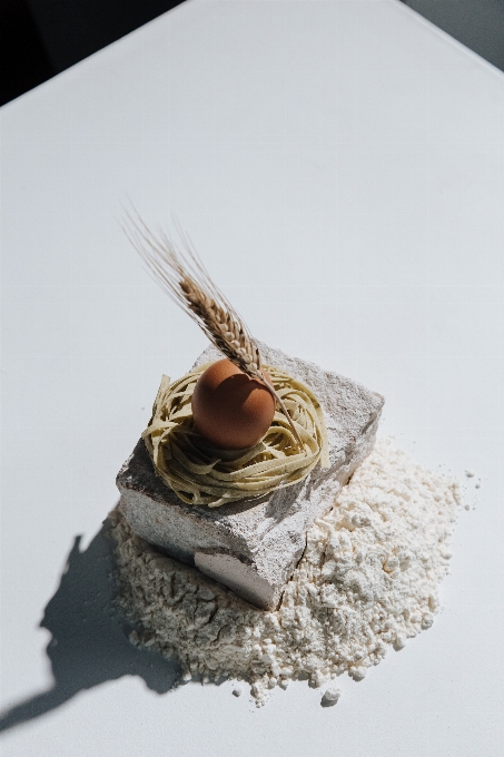 Food bird nest saving wood