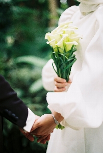 Foto Naturale fiore pianta mano