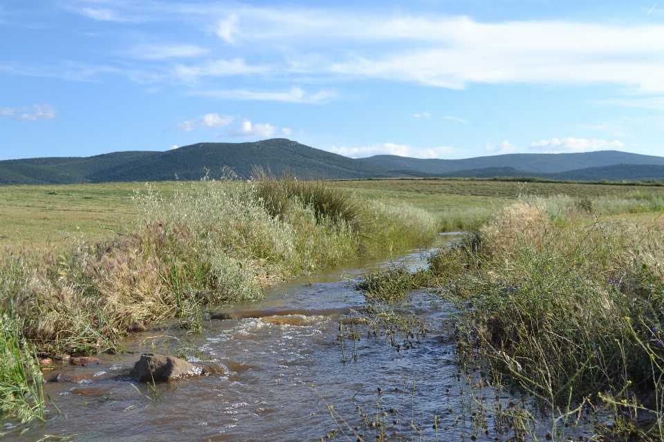 Stream river scenery water