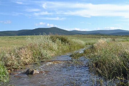 Stream river scenery water Photo